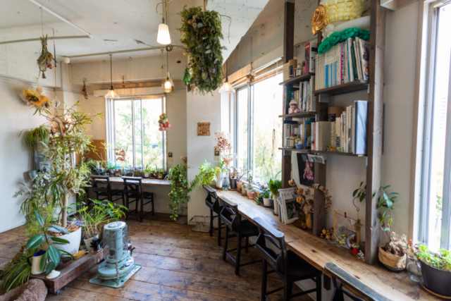 【関西の美しいかき氷】cocoo cafe:靭公園(大阪)