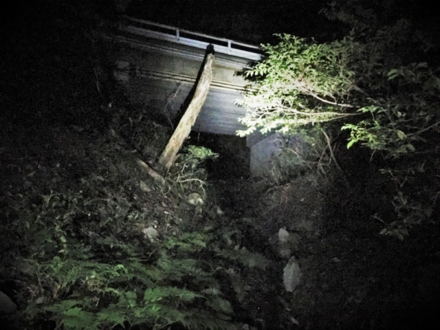 【本能寺の変 老ノ坂越えルート】サバイバルな未舗装区間へ