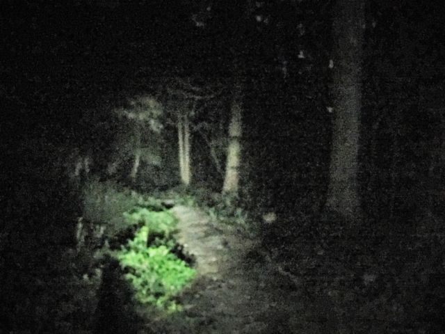 【本能寺の変 老ノ坂越えルート】サバイバルな未舗装区間へ