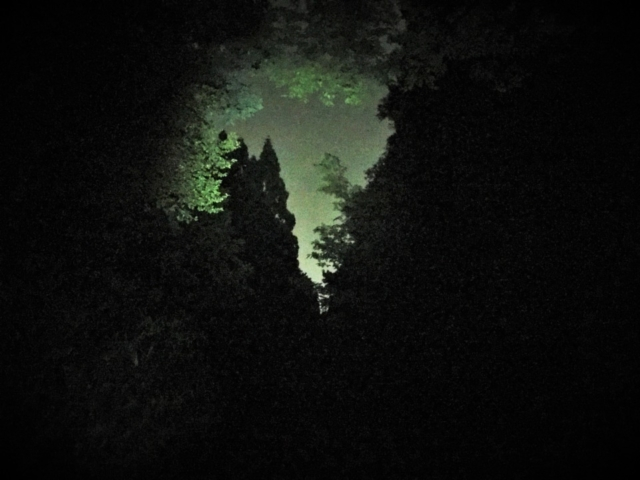 【本能寺の変 老ノ坂越えルート】サバイバルな未舗装区間へ