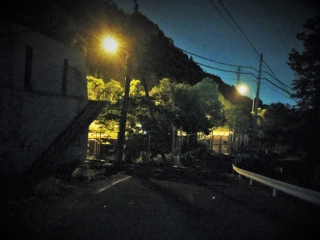 【本能寺の変 老ノ坂越えルート】サバイバルな未舗装区間へ