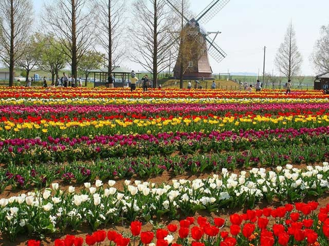 千葉の大きい公園おすすめ18選 広い公園に遊びに行こう!