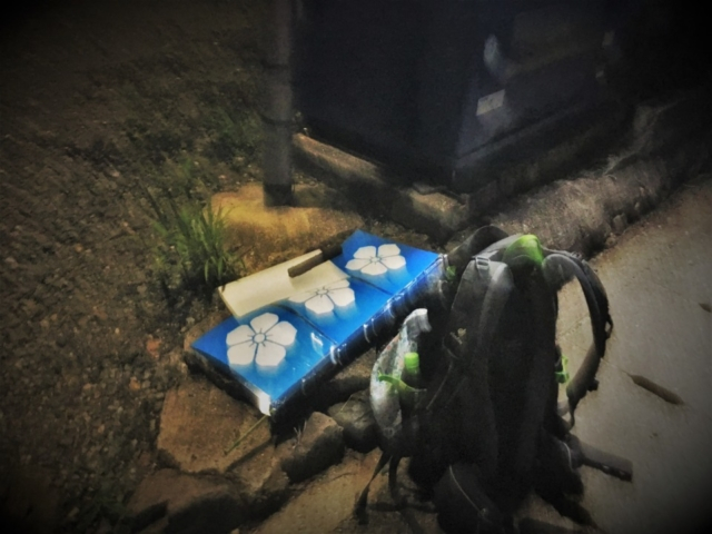 【本能寺の変 老ノ坂越えルート】沓掛までの山下り