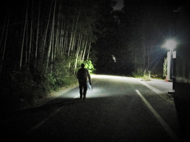 【本能寺の変 老ノ坂越えルート】洛西の住宅地と竹林を抜ける
