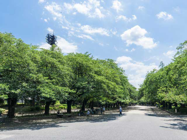 上野のデートスポットおすすめ30選! 定番から穴場までご紹介