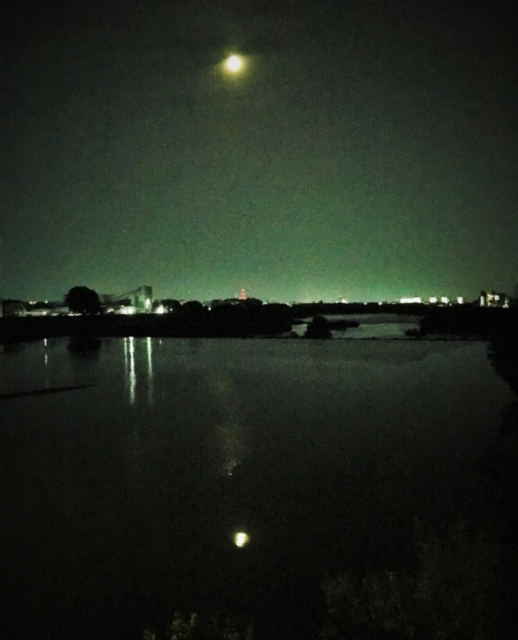 【本能寺の変 老ノ坂越えルート】桂川を越え七条通へ