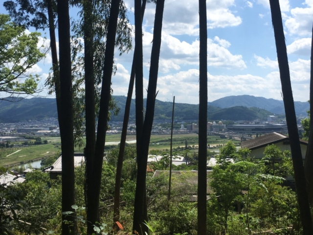 保津城址~峯の堂