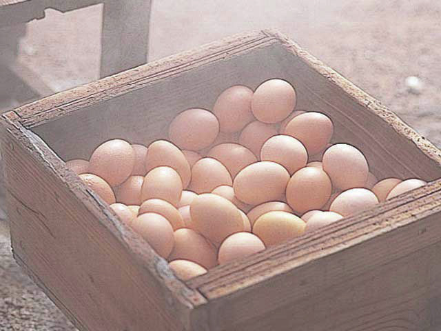 【雲仙~島原を満喫する1泊2日長崎観光モデルコース】1日目 雲仙