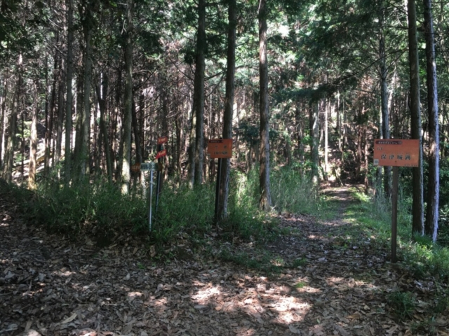 保津城址~峯の堂