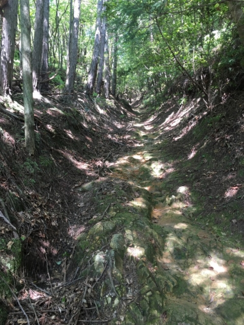 保津城址~峯の堂