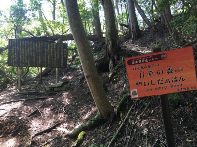 保津城址~峯の堂