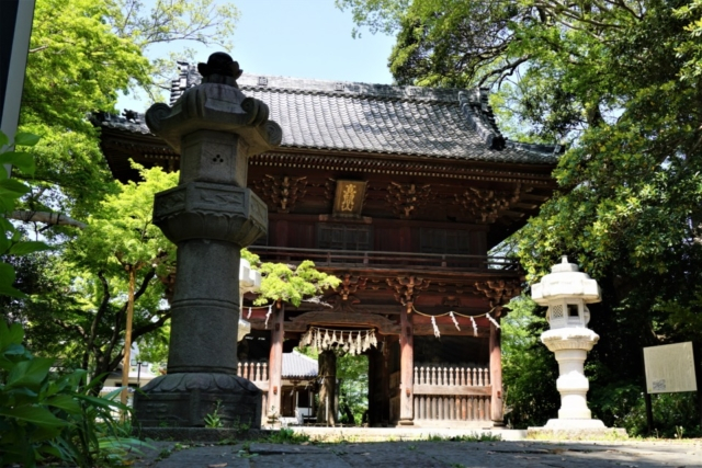 都心から30分で行くネイチャーウォーク 国府台・真間(市川市)後編 《北国分駅~市川駅 10.4km 徒歩5時間30分 約1万9千歩》