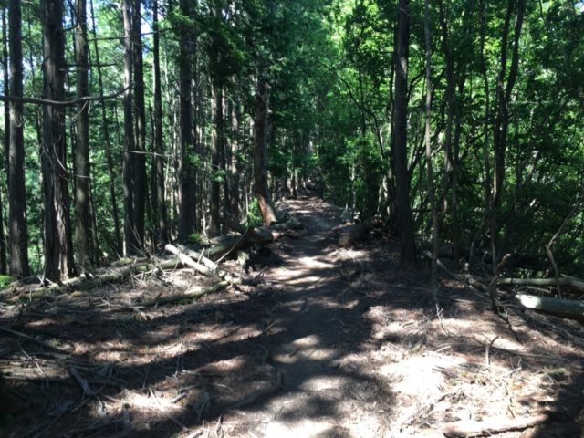 土用の霊泉まで