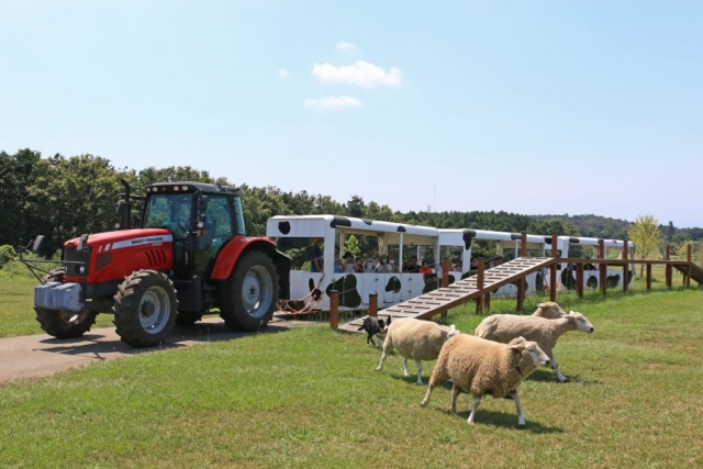 帰り支度をすませてマザー牧場へ!