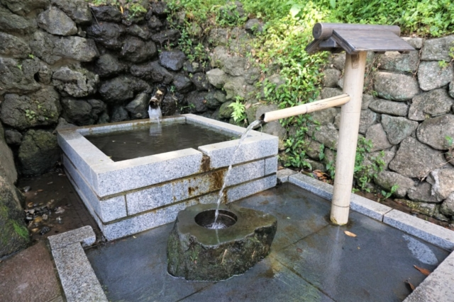 湧き水で国府台の縁(へり)を感じる!