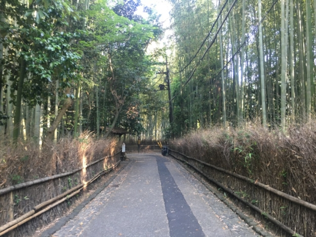 鳥居本から嵐山