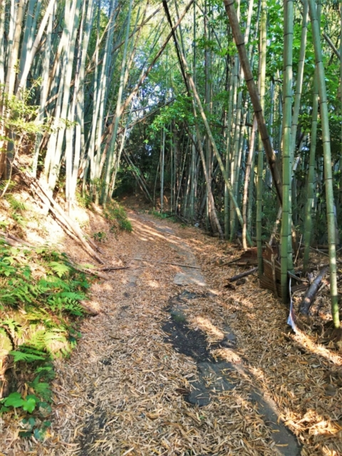 山陰古道