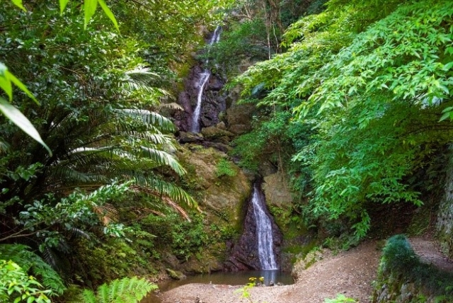 【沖縄やんばる】とっておきの穴場スポット10選 ~大自然に囲まれた「やんばる」が世界遺産に!~