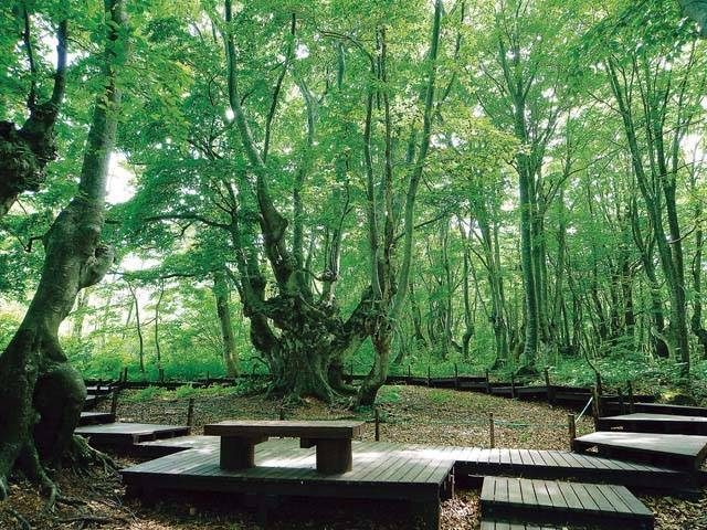 【秋田】穴場のおでかけスポット29選!混雑を避けて楽しもう!