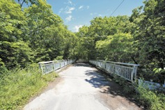 清冽な水と苔の緑が作る渓谷美・樽前ガロー