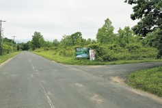 清冽な水と苔の緑が作る渓谷美・樽前ガロー