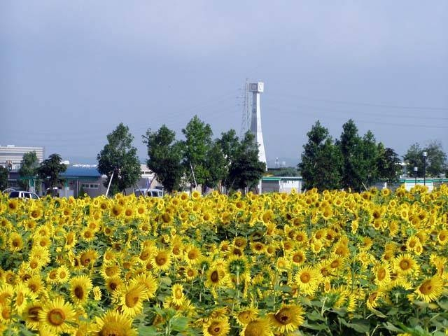 兵庫の感動絶景16選〜観れば心にグッとくる〜