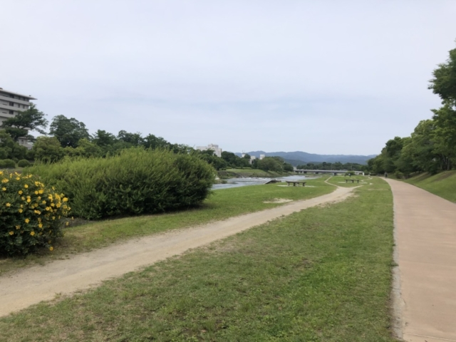 【鴨川観光】荒神橋 ~火の神ゆかりの橋の上流には亀の形の飛び石~