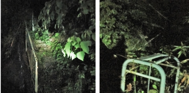 【本能寺の変 老ノ坂越えルート】洛西の住宅地と竹林を抜ける