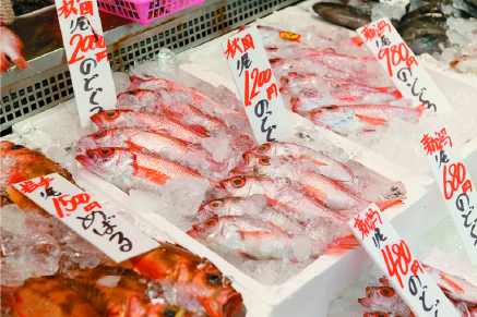 【ピアBandaiのイチオシ土産①】万代島鮮魚センター