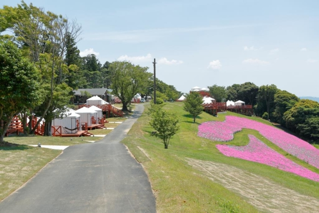 「マザー牧場 グランピング THE FARM」ってどんな施設?