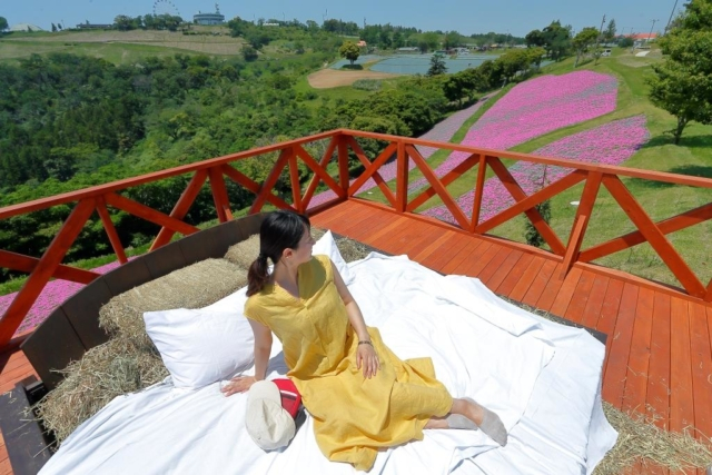 森の中で遊ぼう!ブランコやテントサウナも!!