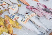 柿崎商店 海鮮工房