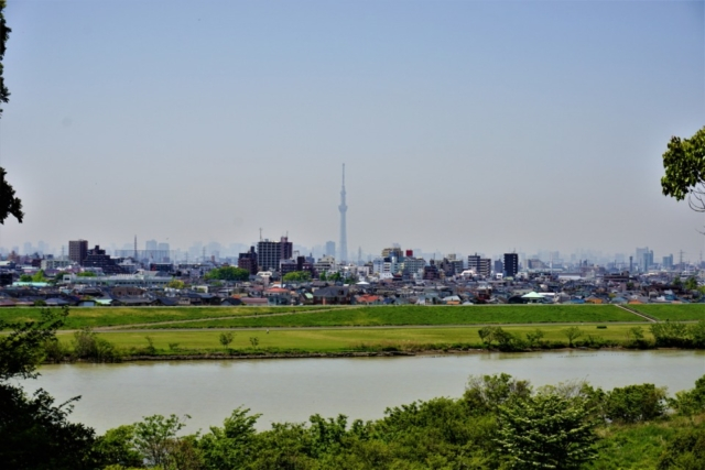 抜群の眺望!東京スカイツリーを見る!!