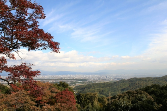 桜も紅葉も絶景!桂昌院ゆかりの古刹で諸堂をめぐる<善峯寺>