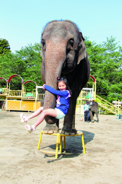 【千葉動物園ランキング】2位:アニマルワンダーリゾウト(市原)