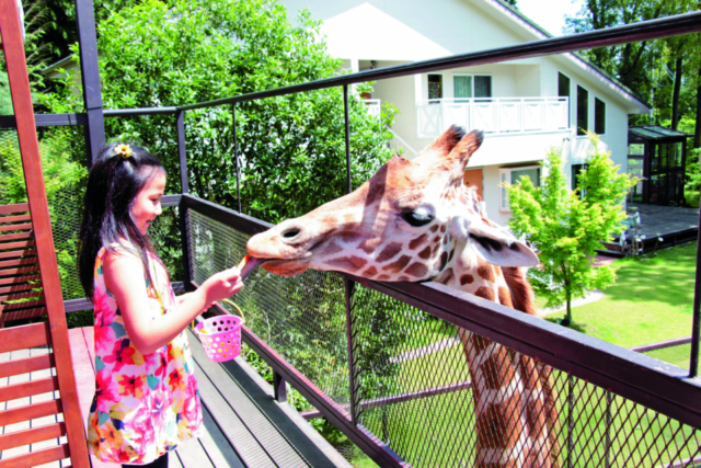 【千葉動物園ランキング】2位:アニマルワンダーリゾウト(市原)