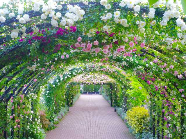 横浜のサイクリングスポットおすすめ20選! 定番から穴場までご紹介