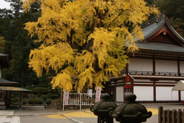 季節の花々が彩る境内