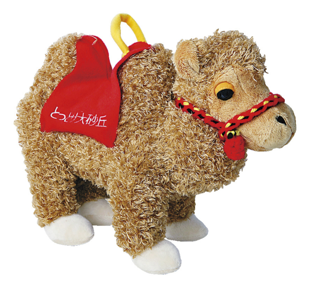 鳥取観光のおすすめ2泊3日モデルコース 3日目③ 鳥取砂丘