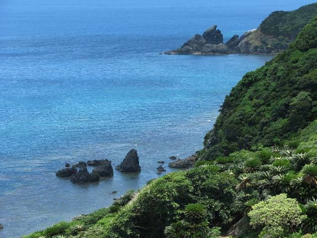 鹿児島の大きい公園おすすめ10選 広い公園に遊びに行こう!
