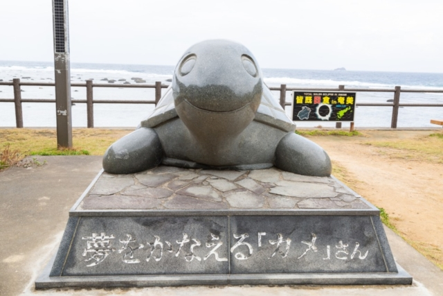 奄美大島の世界遺産を体感スポット:笠利崎