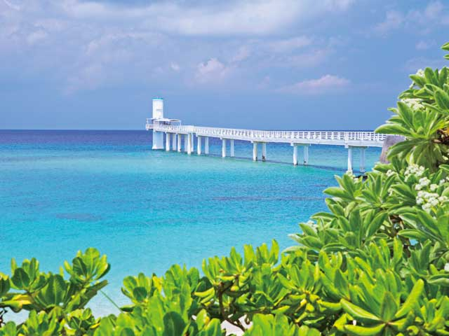 沖縄のサイクリングスポットおすすめ20選! 定番から穴場までご紹介