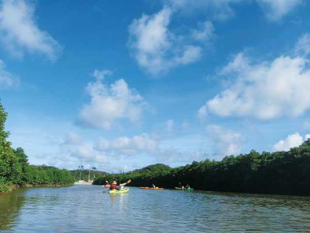 【沖縄】やんばるで夏いちばんのネイチャー体験9選 ~世界自然遺産を大満喫しよう~