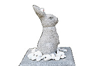 鳥取観光のおすすめ2泊3日モデルコース 3日目① 白兎神社