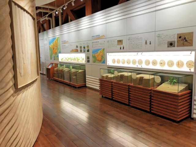 <砂丘情報をGET>山陰海岸国立公園鳥取砂丘ビジターセンター