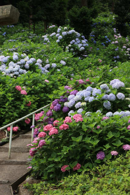 季節の花々が彩る境内