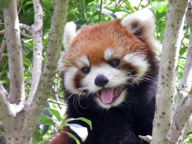 【千葉動物園ランキング】7位:市川市動植物園(市川)