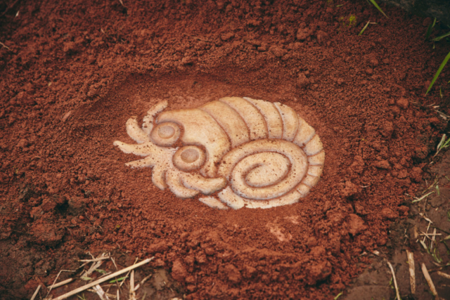 トキワのもりに迷い込んだ?まるで本物のポケモンたちがそこに