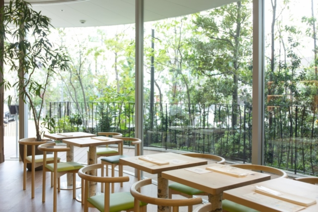 【京都の個性派モンブラン】マールブランシュ ロマンの森(山科)