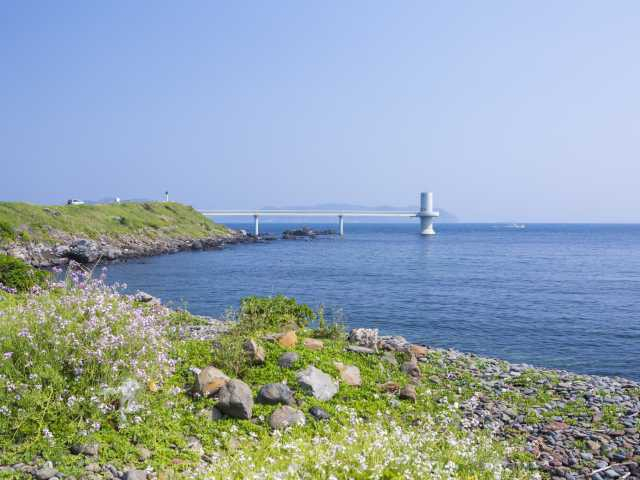 【佐賀】穴場のおでかけスポット20選!混雑を避けて楽しもう!